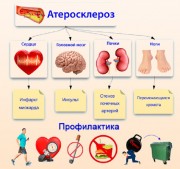 Атеросклероз: факторы риска, профилактика