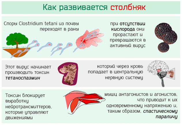 Профилактика столбняка картинки