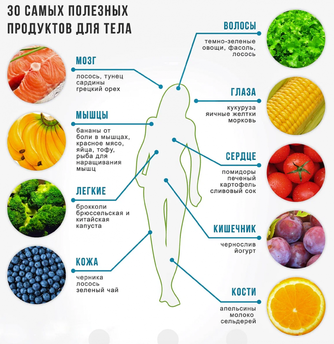 30 самых полезных продуктов для тела,