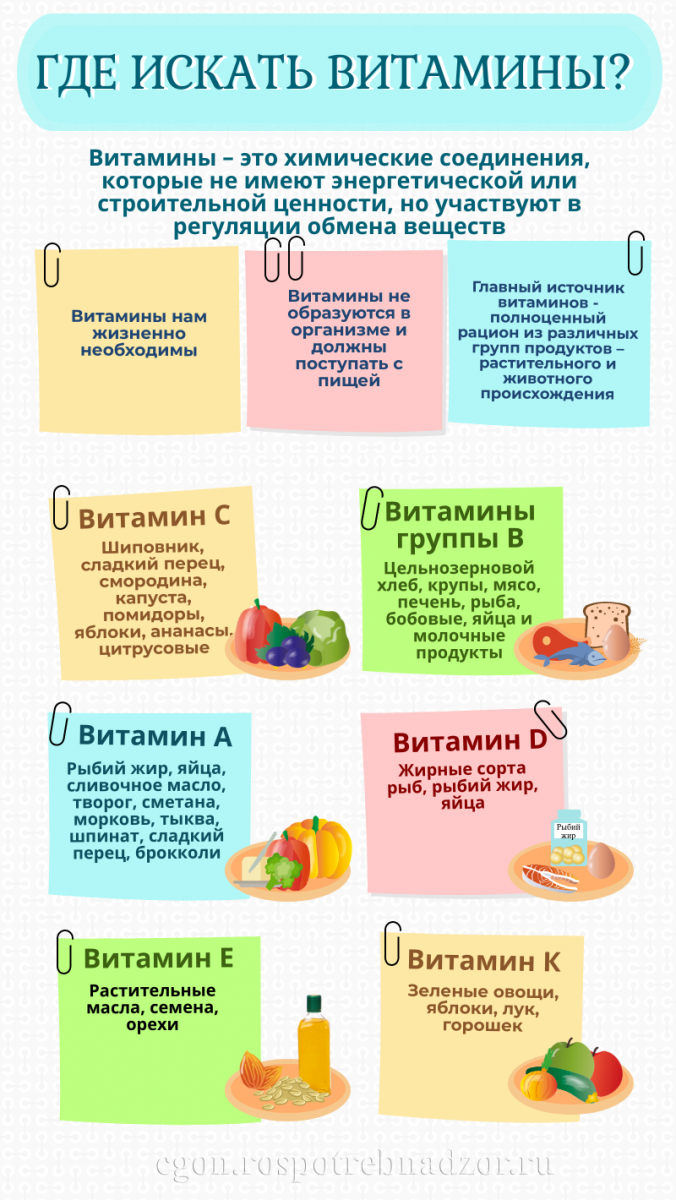 Согласно последним рекомендациям ВОЗ, необходимо потреблять не менее 400  граммов овощей и фруктов в день. Оптимальное количество зависит от целого  ряда факторов, включая возраст, пол и уровень физической активности  человека.,