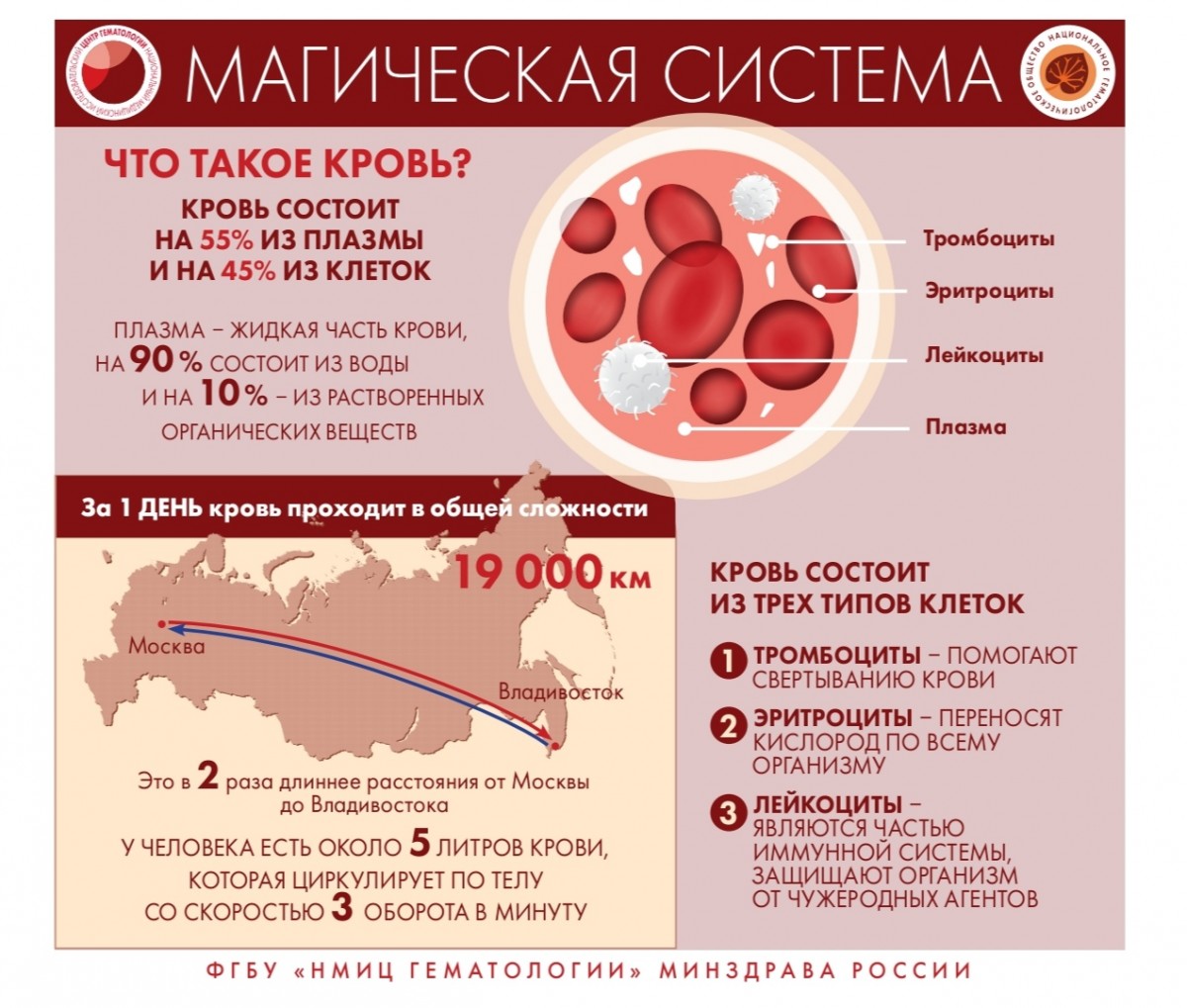 Признаки и симптомы неходжкинской лимфомы,