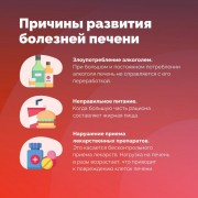 Неделя профилактики заболеваний печени