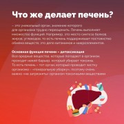 Неделя профилактики заболеваний печени